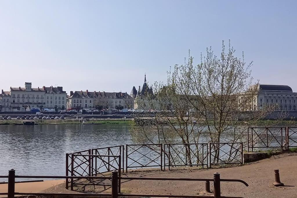 Les Marronniers Appartement Centre Saumur Bord De Loire Extérieur photo
