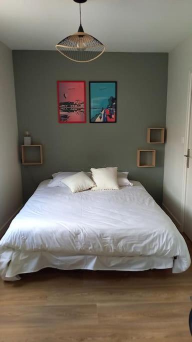 Les Marronniers Appartement Centre Saumur Bord De Loire Extérieur photo